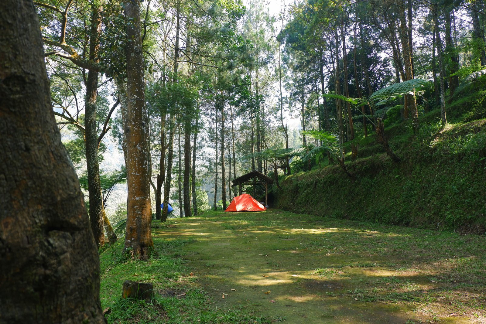 Camping Activity 2