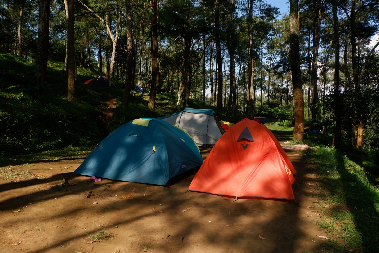 Camping Activity 3
