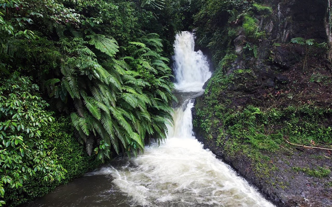 Pemandangan