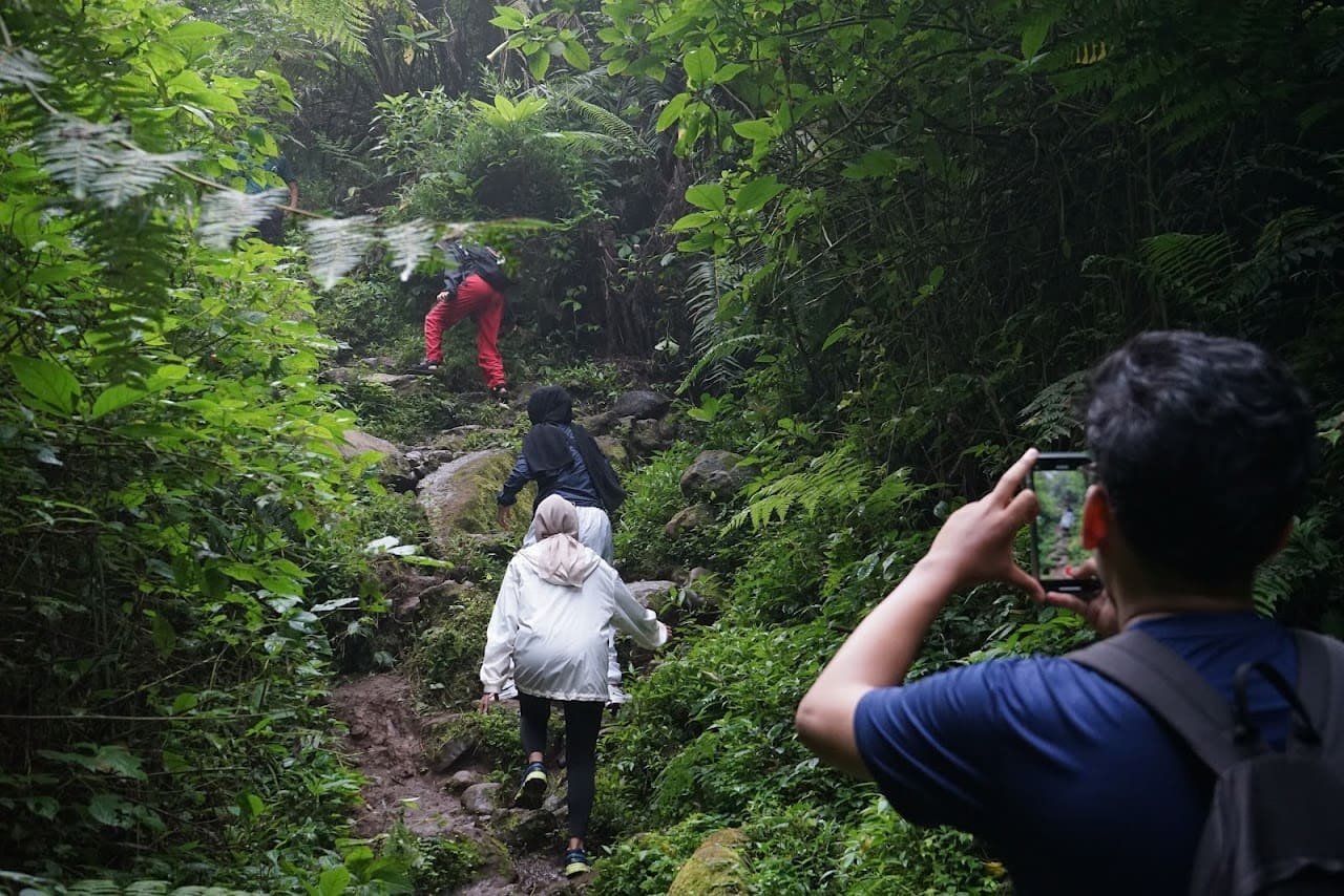 Jalur Hiking